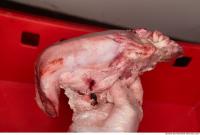 RAW meat pork viscera 0038